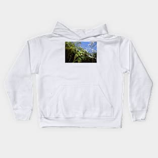 snowy Oregon ferns in trees Kids Hoodie